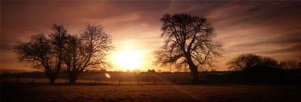 default_mobilesplash